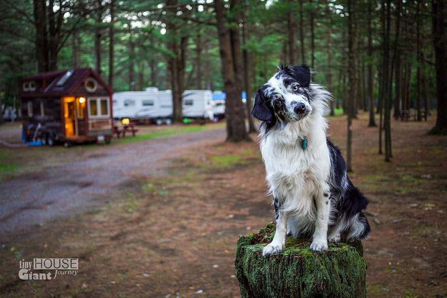 Tiny hOUSE