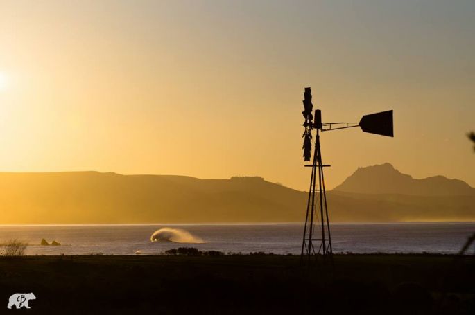 Chris Burkard