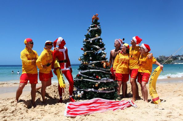 sapin noel surf