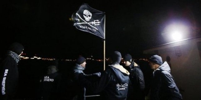 sea shepherd