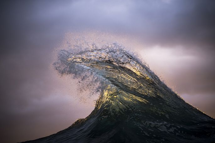 ray collins, photographe, vague