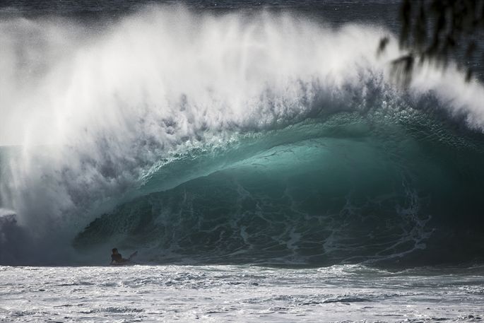 Ray Collins