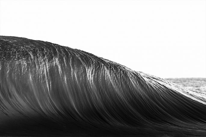 Ray Collins