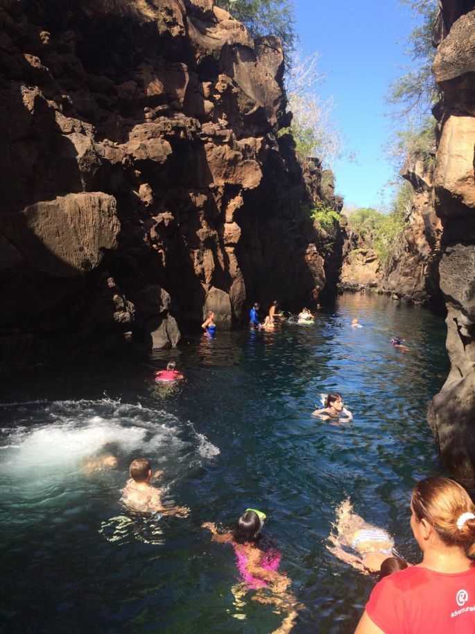 Piscine naturelle