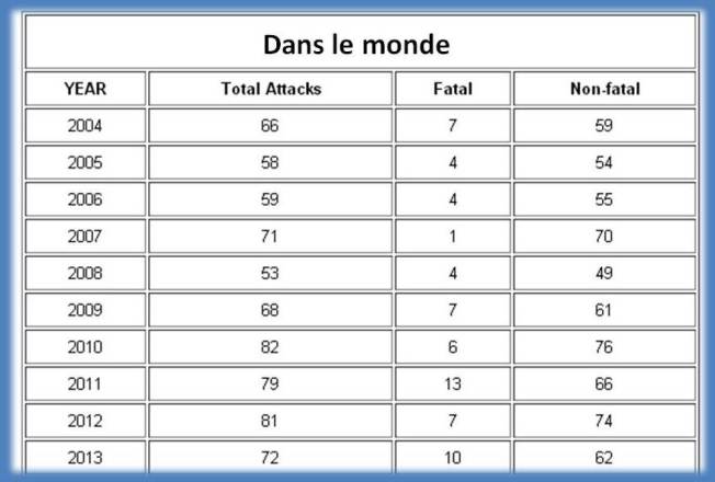 bilan