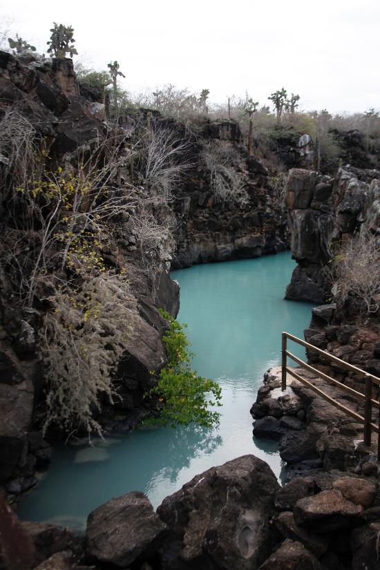 paradis, naturel, piscine