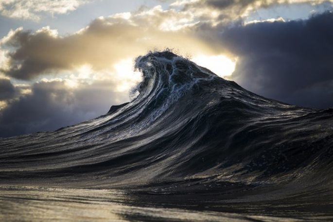 Ray Collins photo 