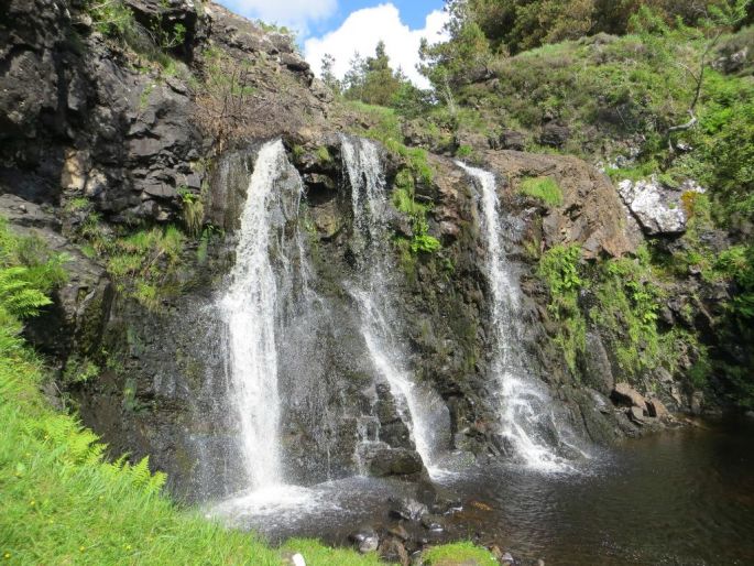 piscine naturelle