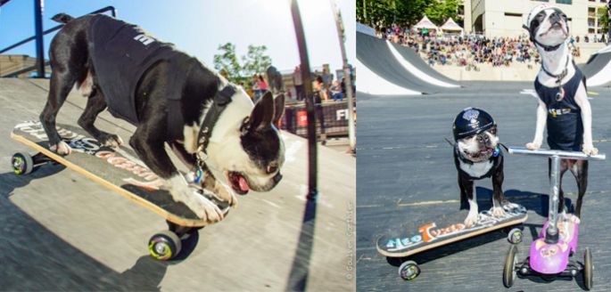 FISE 2013 - Recap de la 17ème édition