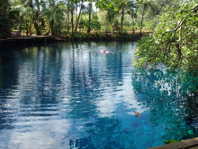 piscine naturelle