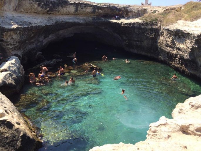 piscine naturelle