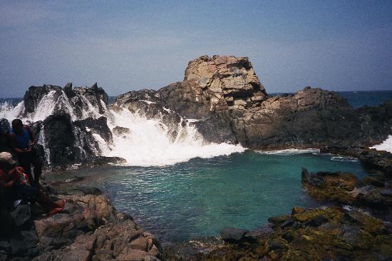 piscine naturelle