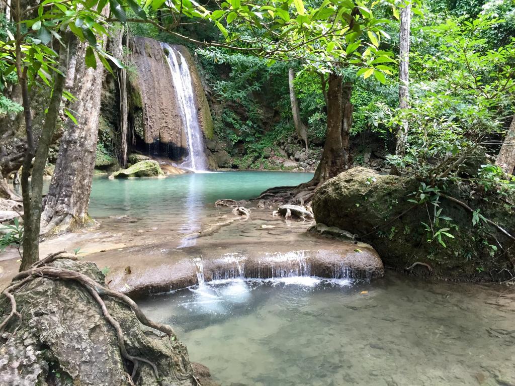 piscine naturelle