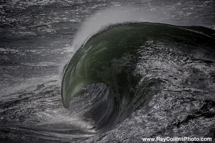 Ray Collins