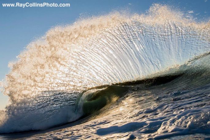 Ray Collins