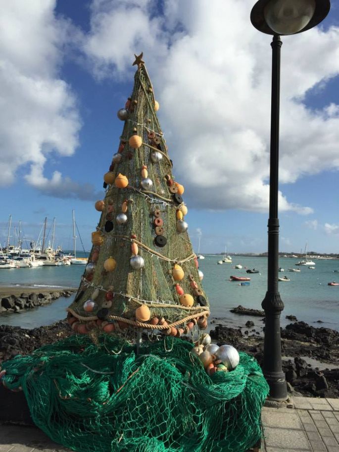 sapin fuertaventura