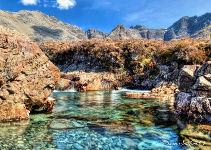 piscine naturelle