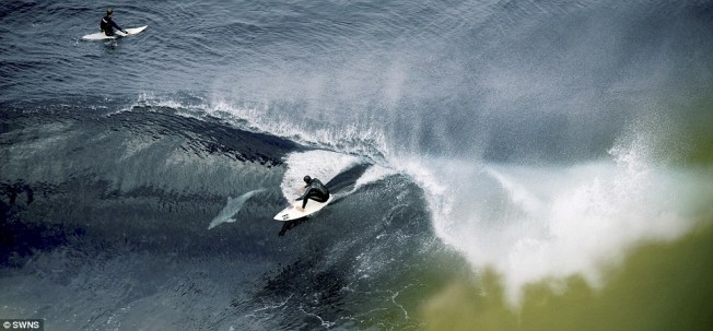 dauphin surf