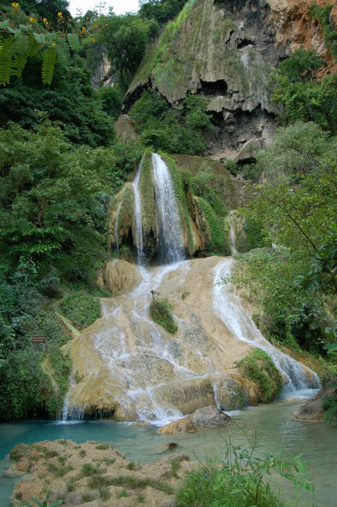 Piscine naturelle