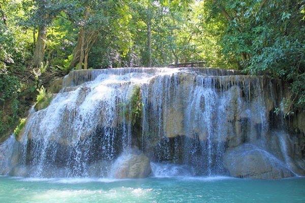 Piscine naturelle