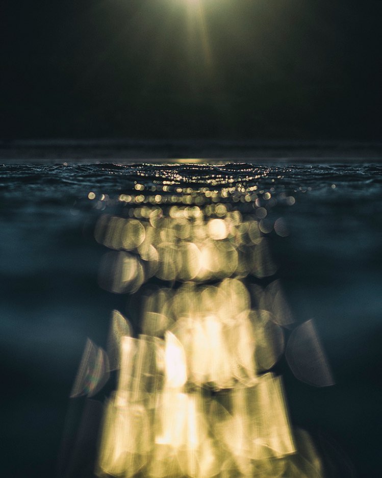 Ray Collins 3