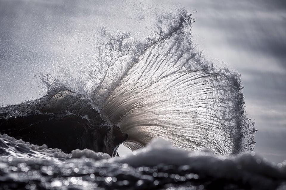 Ray Collins 8