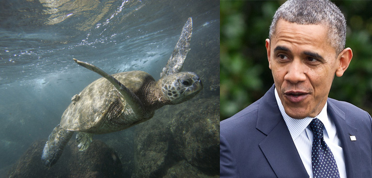  Barack Obama crée la plus grande réserve naturelle marine du monde