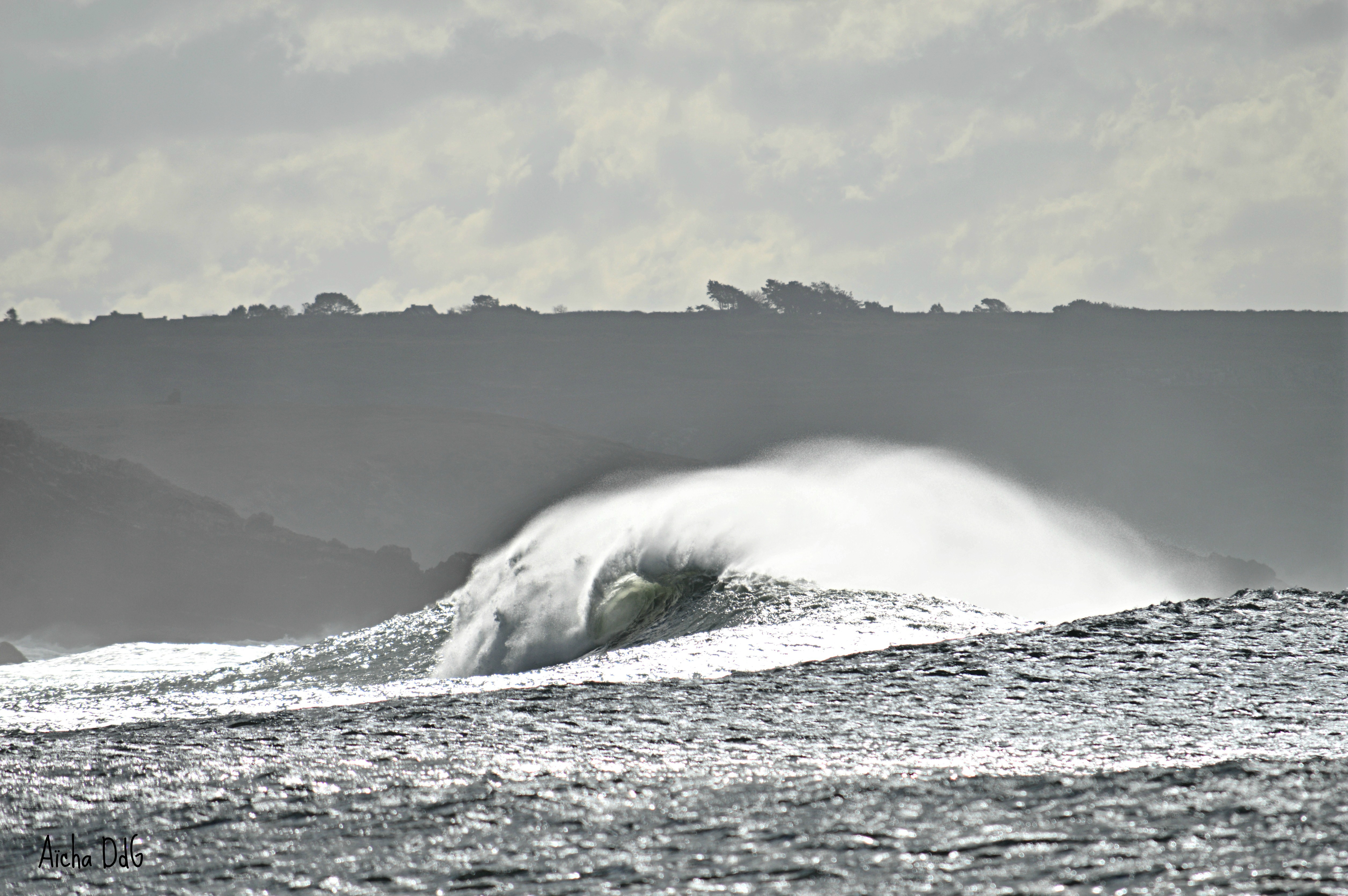 surfeuses du bout du monde