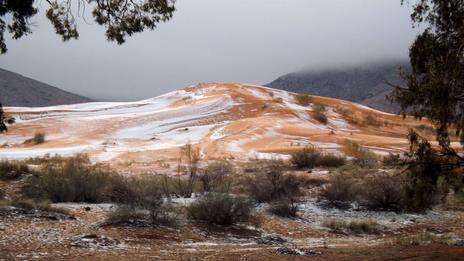 Sahara neige 