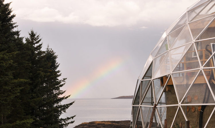 nature-house-geodesic-dome