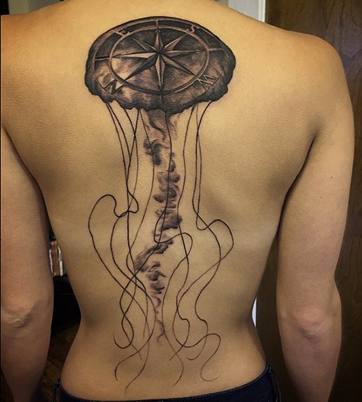 meduse