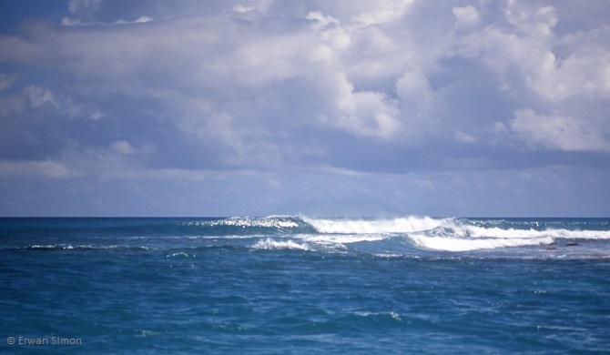 Erwan a surfé 4 spots de surf différents sous l