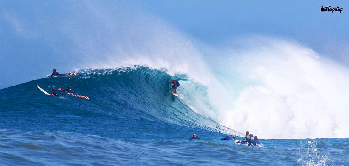 Les surfeurs landais se régalent avec des vagues de plus de 2m50