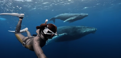 Hawaï : attaqué par un requin, un pêcheur en kayak filme la scène