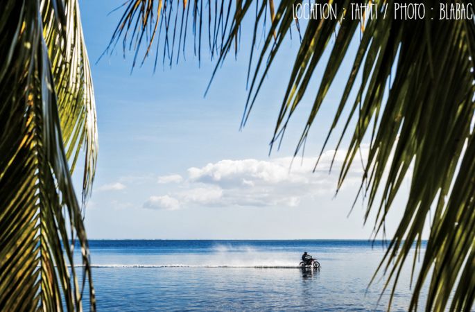 Pipe Dream Robbie Maddison 