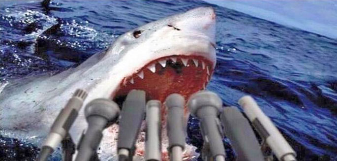 Mick Fanning Vs. Shark: Entretien exclusif TRP avec le requin!