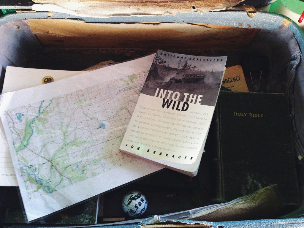 vrai bus into the wild