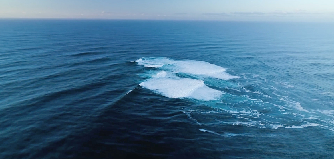Cortes Bank, un champ de vagues au milieu de l'océan